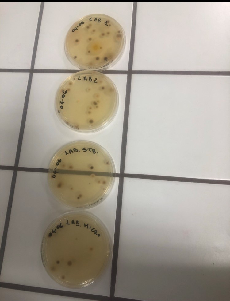 Rilevamento microbiologico - Test di laboratorio - ACA S.p.A